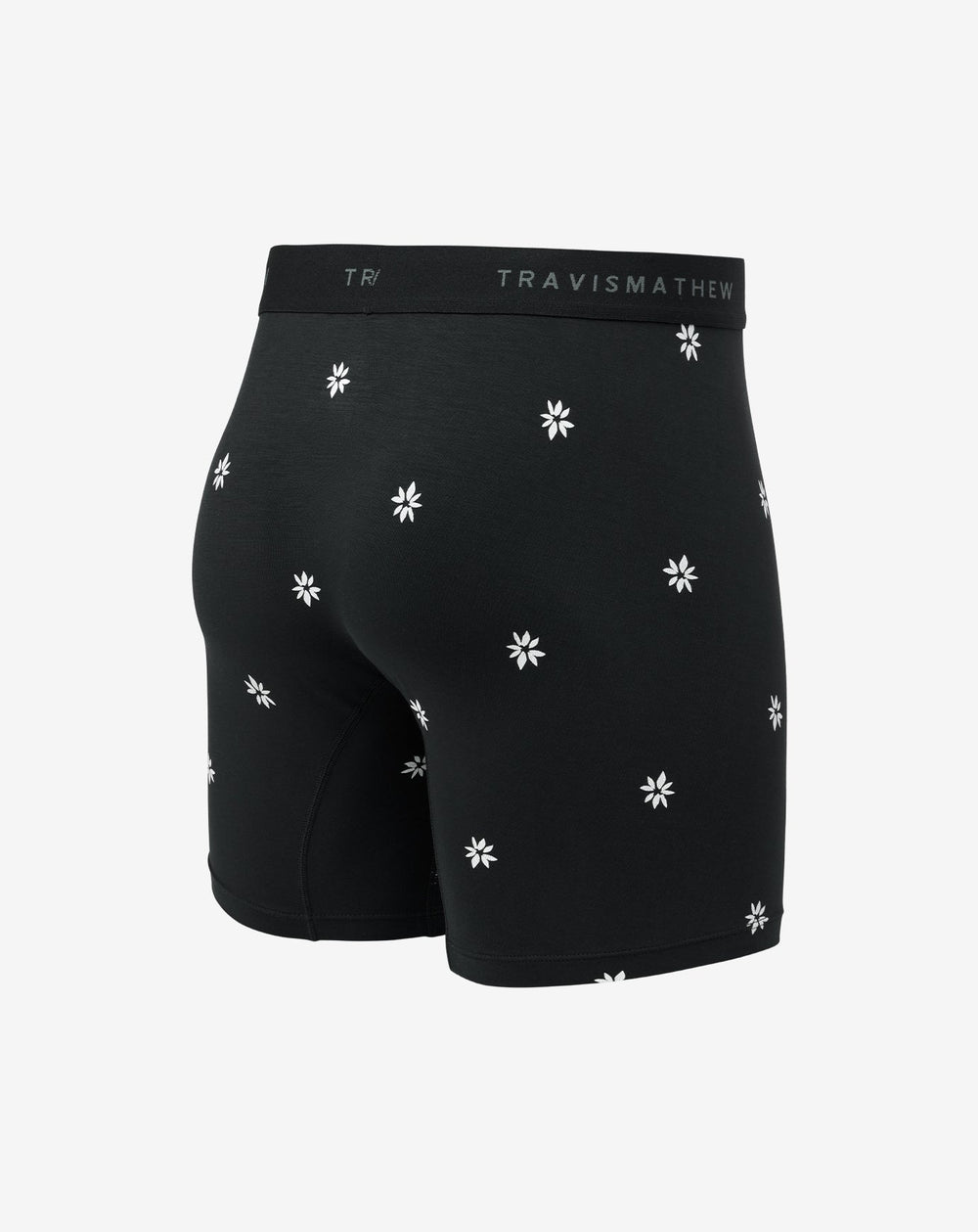 Rome Around Boxer
